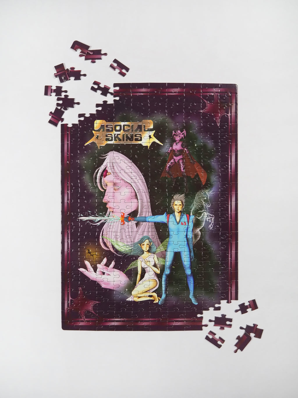 THE VISION IN VISION PUZZLE